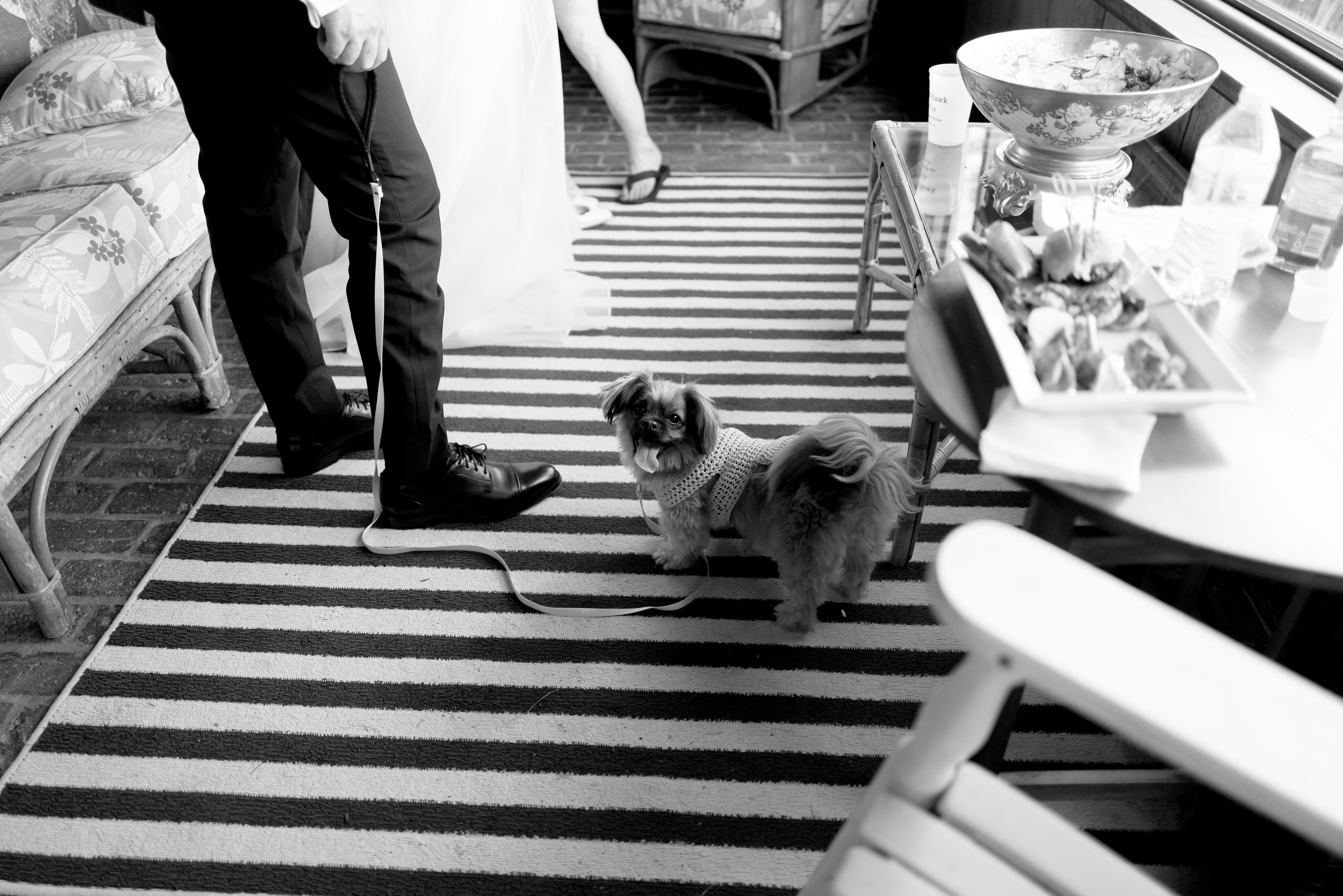 Sorry image alt text was not provided.